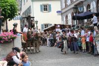 IMG_6145 (2) 